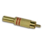 RCA male, cable type, GOLD-METAL, RED