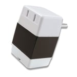 Voltage Converter F-11, 220/110VAC, 50W