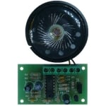 Home alarm system with siren
